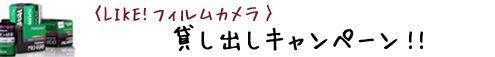 LIKE!tBJ݂oLy[